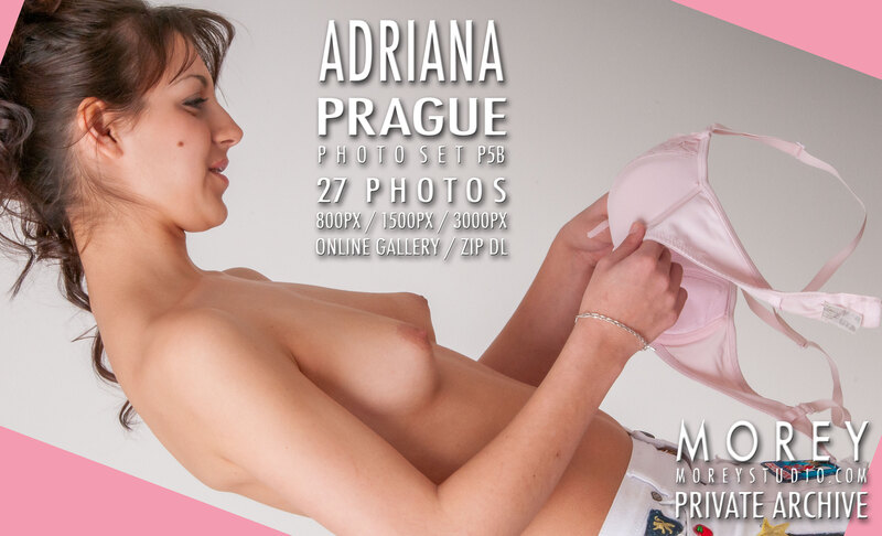 New gallery update erotic nude model photos by craig morey